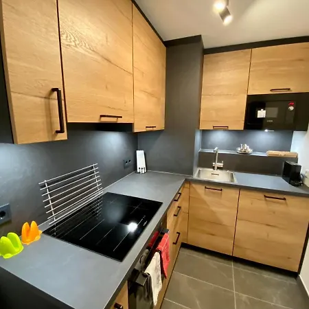 Seeperle Mit Seesicht Apartment Bodman-Ludwigshafen